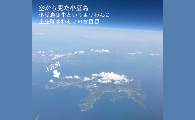 小豆島産オリーブオイル 100% 搾りたて小豆島産三代松家オリーブオイル (エクストラバージンオイル・無濾過) 120ml 3本