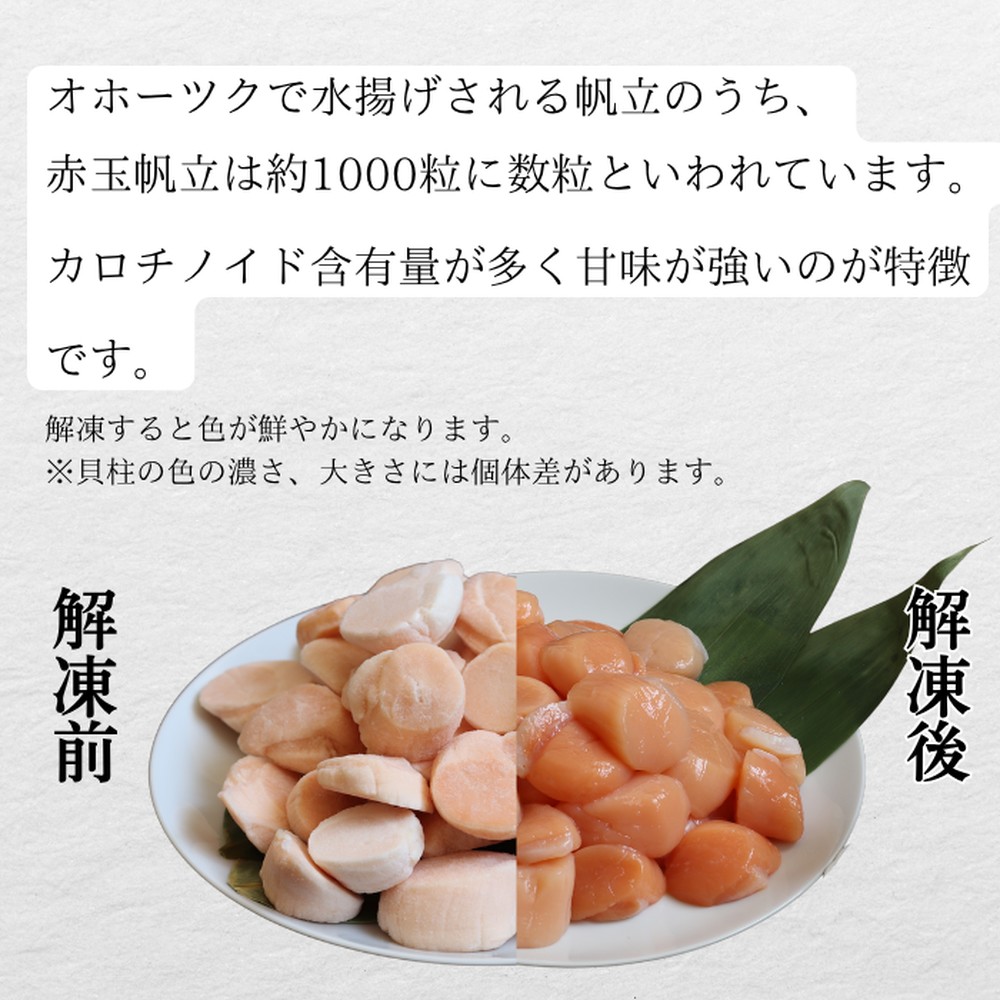 33-31 【年内配送12月15日入金まで】【希少】お刺身用 赤帆立800g　｜北海道産　グルメ　海鮮丼 within2025