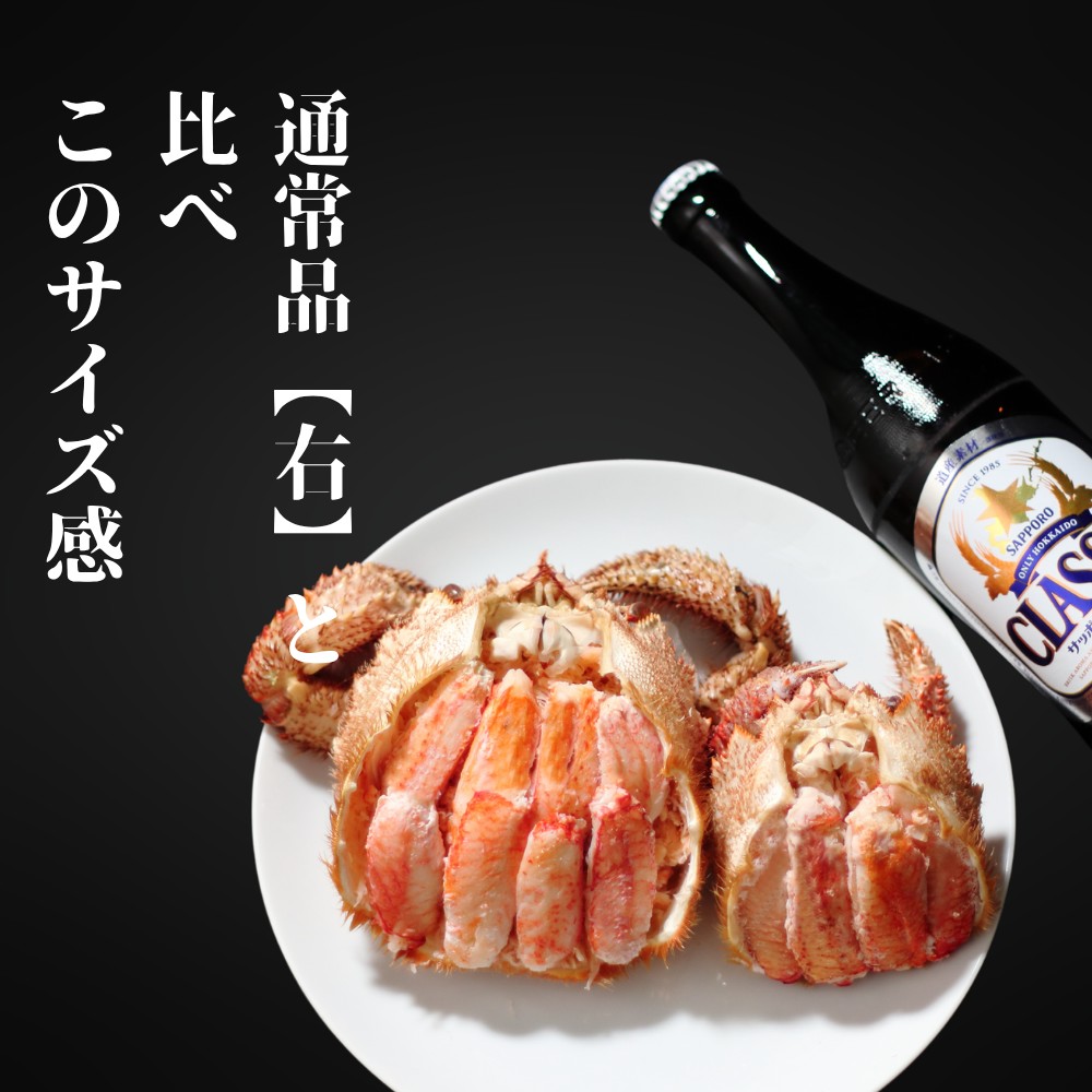 35-47 【年内配送12月15日入金まで】【紋別産】特大毛がに甲羅盛り ｜ 特大のタグ付き かに　かにみそ　無添加　山わさび　蟹酢付 within2025