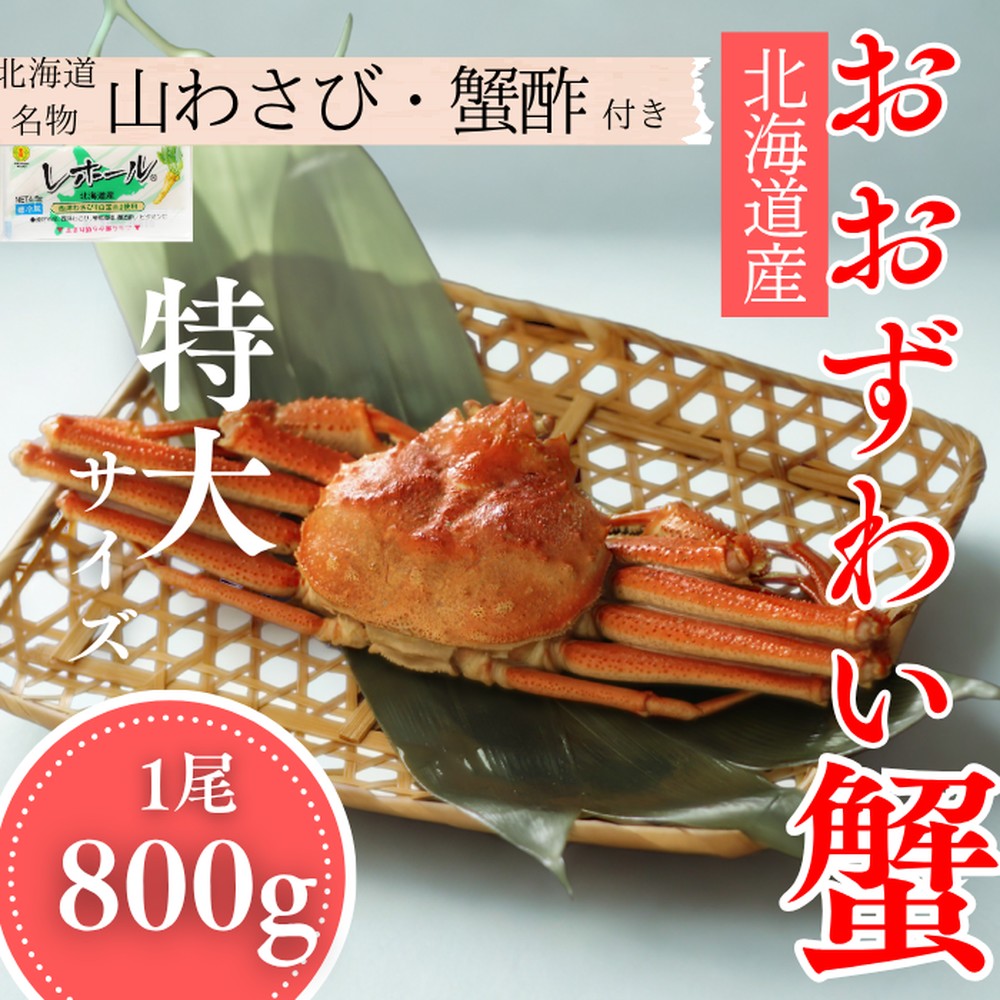 20-290 【年内配送12月15日入金まで】【北海道産】特大サイズ オオズワイガニ姿　800g以上1尾 ｜ 蟹酢・山わさび付　かに　おおずわいがに within2025