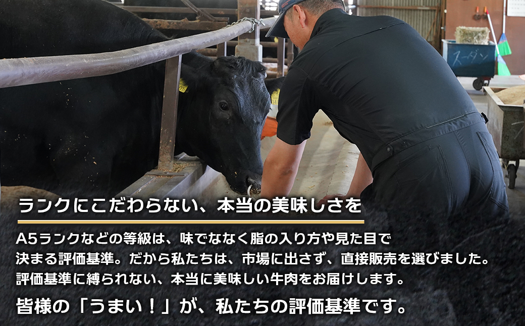 淡路島産プレミアム牛 イザナミ黒牛ホルモンミックス 1kg（500g×2パック）