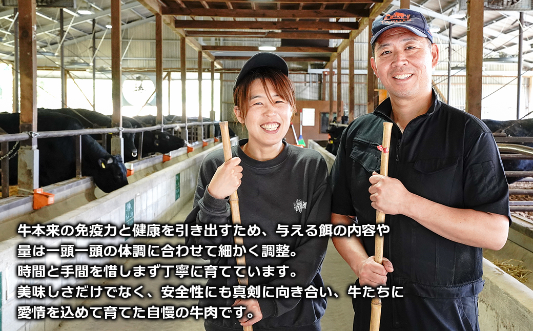 淡路島産プレミアム牛 イザナミ黒牛ホルモンミックス 2kg（500g×4パック）