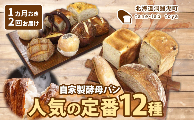 スクイーズ サニーズキッチン シフォンケーキ バケット フライドチキン 4セット サニーサイドアップカフェ シフォンケーキ 4種のアソートセット