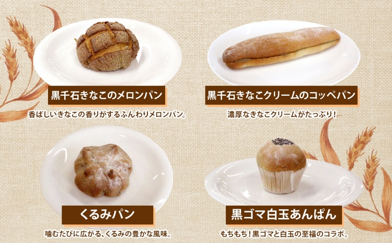 自家製酵母パン 人気の定番セット Lサイズ 1ヵ月おきに2回お届け 小分けパック