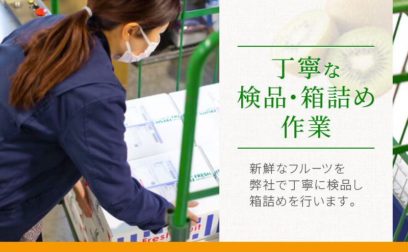 【5月～6月 期間限定出荷】 こだわり クラウンメロン 2個 白 1.3kg×2 クラウン メロン めろん 白等級 静岡県 静岡 袋井市 贈答 高級 フルーツ 果物