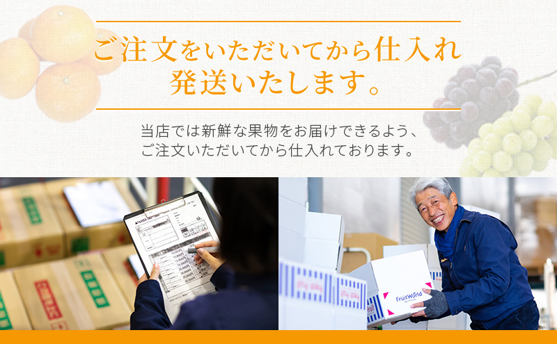 【5月～6月 期間限定出荷】 こだわり クラウンメロン 1個 山 1.3kg×1 クラウン メロン めろん 山等級 静岡県 静岡 袋井市 贈答 高級 フルーツ 果物