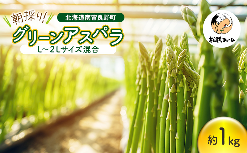 朝採り グリーンアスパラ L～2Lサイズ混合 1kg［松鶴ファーム］アスパラ アスパラガス ハウスアスパラ 野菜 やさい 新鮮 とれたて 甘い 北海道 南富良野