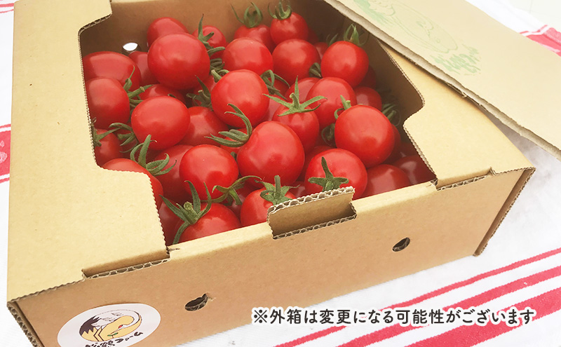 【2026年発送】ミニトマト ほれまる 1kg［松鶴ファーム］野菜ソムリエサミット金賞 トマト ミニトマト プチトマト 野菜 やさい 新鮮 とれたて 甘い 北海道 南富良野