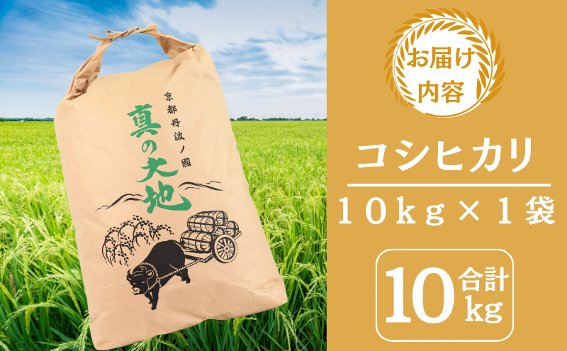 令和7年産 京都丹波産 コシヒカリ 10kg 新米 新米予約 京都 丹波 京都丹波 京都丹波産 コシヒカリ 10kg お米 米 ごはん 美味しい 産地直送 安心安全 旨み 香り 歯ごたえ 京都産 送料無料 