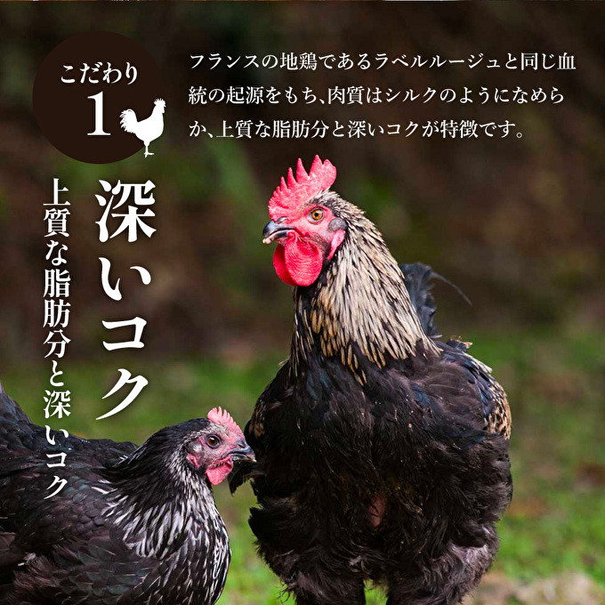 数量限定 訳あり 特別寄附額 キーマカレー 地鶏丹波黒どりと京都府産黒大豆のキーマカリー 6食 セット 詰め合わせ レトルトカレー レトルト食品 レトルト レトルトパウチ 常温保存 防災 防災食 非常食 カレー