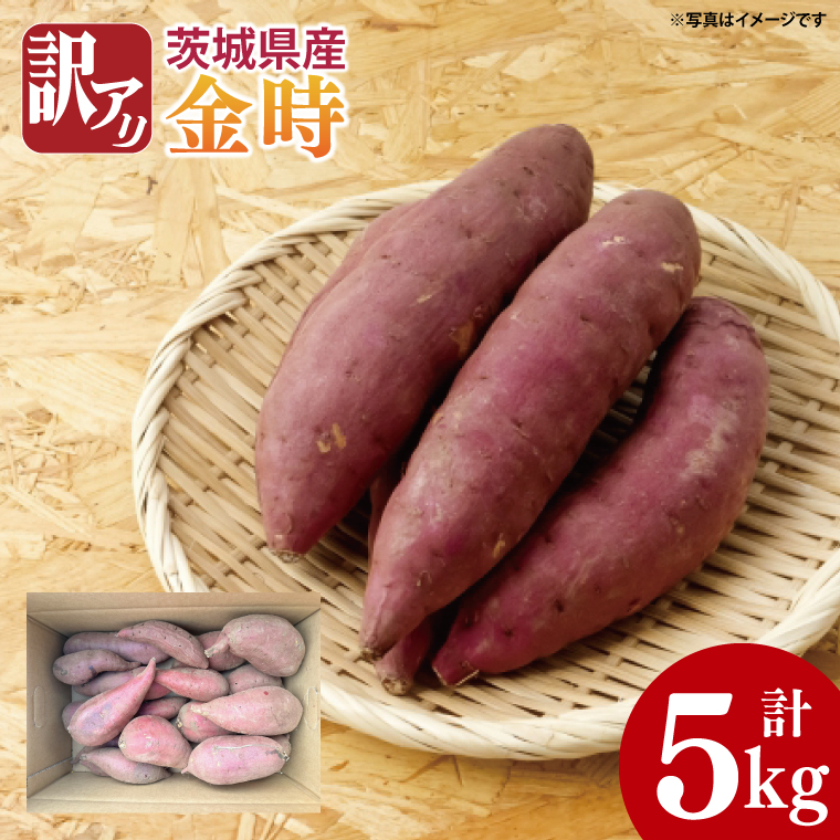 y錧szy2025N11菇zyʌzA 錧Y 5kgb܂  Tc}C  󂠂 킯 s\ 錧 siAS010-1j