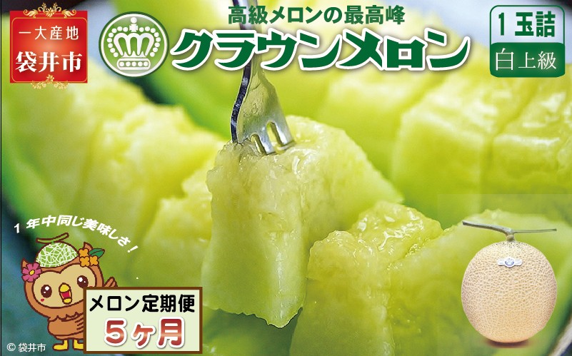【静岡県袋井市】【5ヶ月定期便】クラウンメロン(白上級)1玉入 メロン デザート グルメ 果物 フルーツ 季節の果物 スイーツ 袋井市 静岡県