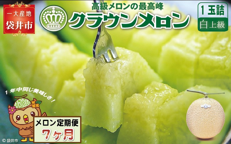 【7ヶ月定期便】クラウンメロン（白上級）1玉入 メロン デザート グルメ 果物 フルーツ 季節の果物 スイーツ 袋井市 静岡県