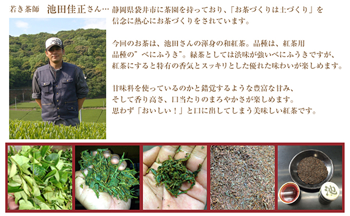池田さんの和紅茶（ひも付きマグ用）5袋セット おすすめ べにふうき ティーバッグ 簡単 便利 ギフト 贈り物 人気 厳選 袋井市