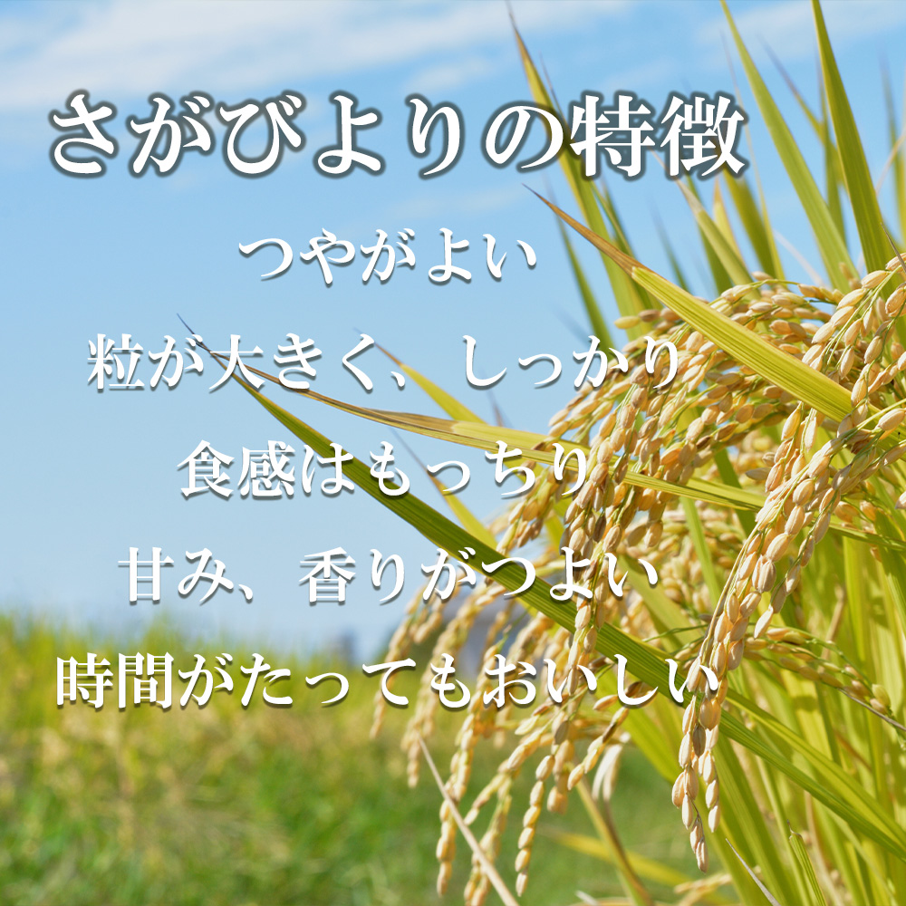 ぽてぽてこ 令和6年産 さがびより 玄米 10kg 送料無料》令和6年産／佐賀県産「さがびより」10kg（5kg×2袋