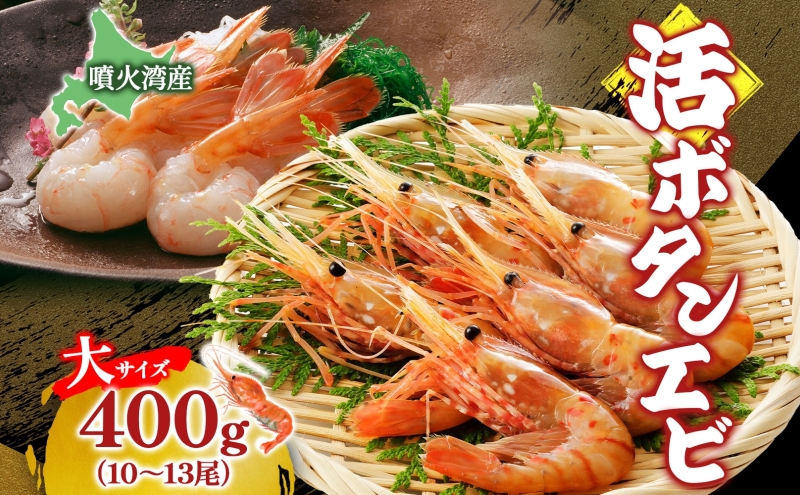 ykCΒzkC ΘpY {^Gr TCY 400g 10`13 2026N315菇o {^Gr Gr  CV kCY { ڂ񂦂 VN hg OCV CN  bk X`  CN ① Β