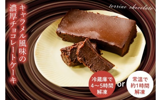 【６ヶ月定期便】テリーヌ　ショコラ 【チョコレート 生クリーム キャラメル バニラ チョコレートケーキ デザート スイーツ 鹿嶋市 茨城県】 （KCX-34）