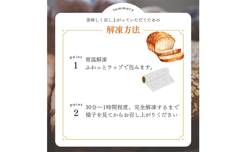 定期便 2回 ベーグル詰め合わせ 12個 パン 国産 冷凍 ベーグル プレーン セット 詰合せ 詰め合わせ 2ヶ月 にかほ市 秋田 秋田県