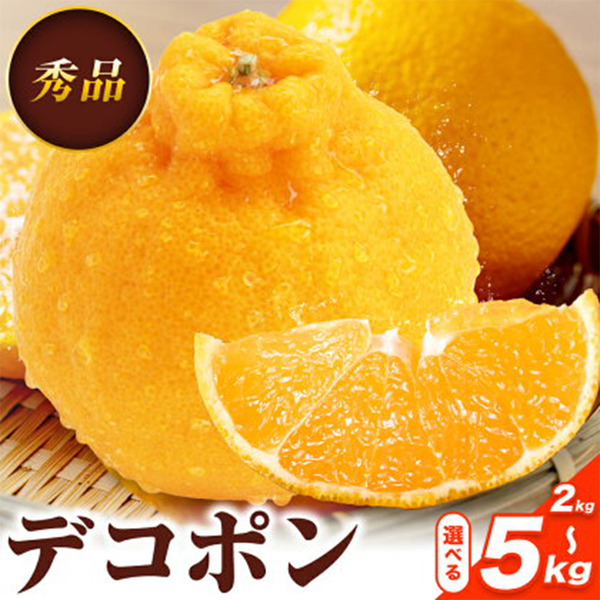 デコポン 選べる 内容量 約2kg〜約5kg 日本フルーツ株式会社 熊本県 長洲町 [2026年1月下旬-2月末頃出荷予定] デコポン 果物 秀品