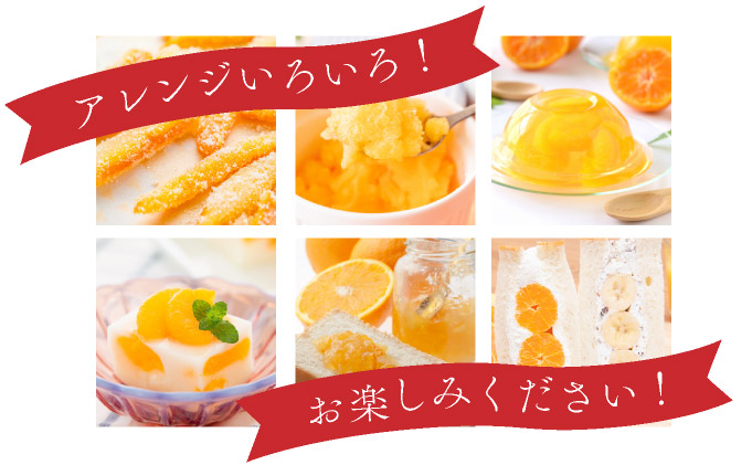 佐賀県大町町のふるさと納税 【先行予約】みかんの「大トロ」佐賀産かんきつ・せとか 約1.5kg(4-8玉) / ふるさと納税 佐賀 フルーツ濃厚 甘い 酸味 大町 贈答 ギフト 贈り物