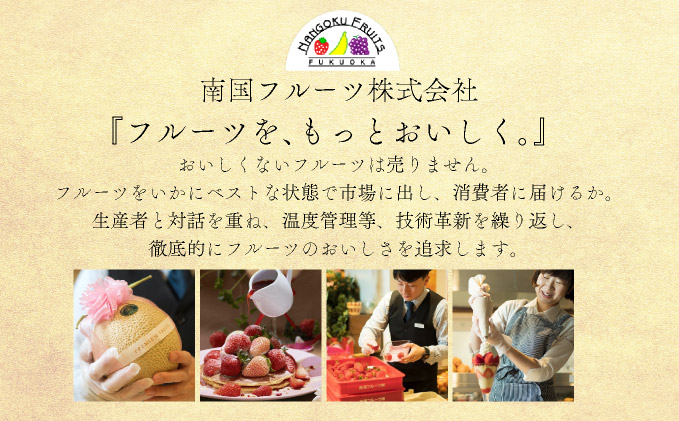 佐賀県大町町のふるさと納税 【先行予約】みかんの「大トロ」佐賀産かんきつ・せとか 約1.5kg(4-8玉) / ふるさと納税 佐賀 フルーツ濃厚 甘い 酸味 大町 贈答 ギフト 贈り物