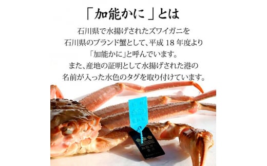 石川県産 加能かに/ズワイガニ ( 産地証明タグ付 ) 大サイズ 1匹 + 香箱かに 3匹 詰合せ ( 2～3人前 ) 12月16日～12月26日発送 食べ比べセット ズワイガニ F6P-2763
