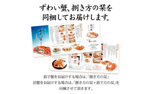 石川県産 加能かに/ズワイガニ ( 産地証明タグ付 ) 大サイズ 1匹 + 香箱かに 3匹 詰合せ ( 2～3人前 ) 12月16日～12月26日発送 食べ比べセット ズワイガニ F6P-2763