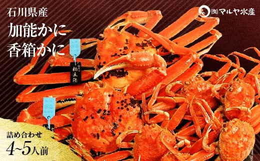【石川県加賀市】石川県産 加能かに ズワイガニ ( 産地証明タグ付 ) 大サイズ 2匹 + 香箱かに 5匹 詰合せ ( 4〜5人前 ) 12月16日〜12月26日発送 食べ比べ セット ズワイガニ F6P-2767