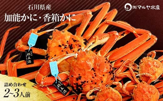 【石川県加賀市】石川県産 加能かに ズワイガニ ( 産地証明タグ付 ) 中サイズ 2匹 + 香箱かに 3匹 詰合せ ( 2〜3人前 ) 11月10日〜12月15日発送 食べ比べセット ズワイガニ F6P-2764