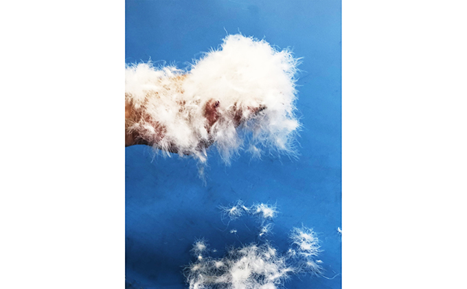 【夏冬兼用　重量約1.4kg】高級羽毛掛け布団（ハンガリー産ホワイトグースダウン）2枚（色：赤系1枚、緑系1枚）