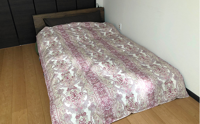 ダウンエッセンス(ポリエステル)夏用肌掛け布団0.8kg シングル1枚(色:赤系)