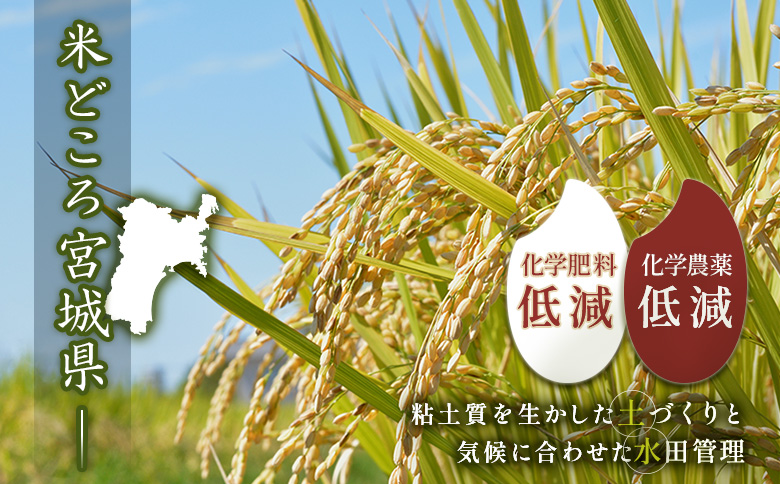 宮城県白石市のふるさと納税 【2025年産】ひとめぼれ（精米）2kg【数量限定】【490016】