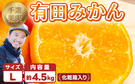 【和歌山県美浜町】和歌山の有田みかん 化粧箱入り 4.5kg Lサイズ|まごころ手選別 ミカン 蜜柑 温州みかん 柑橘 和歌山 ギフト 贈答 ※2025年11月上旬〜2026年1月下旬頃に順次発送予定