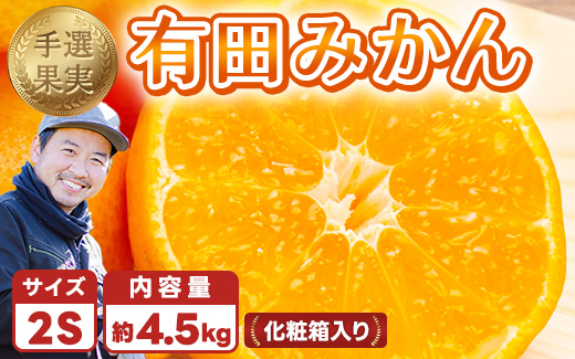 【和歌山県美浜町】和歌山の有田みかん 化粧箱入り 4.5kg 2Sサイズ|まごころ手選別 ミカン 蜜柑 温州みかん 柑橘 和歌山 ギフト 贈答 ※2025年11月上旬〜2026年1月下旬頃に順次発送予定