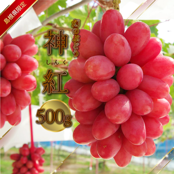 島根県限定！幻のぶどう ”神紅（しんく）” 1房 500g / 島根県