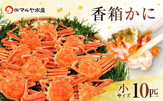 【石川県加賀市】石川県産 香箱蟹 せいこ 小サイズ 10匹 詰合せ 11月10日〜12月15日発送 浜茹で 産地直送 ズワイガニ ずわいがに ずわい蟹の雌 先行予約 予約 せいこ 蟹 かに グルメ F6P-2768