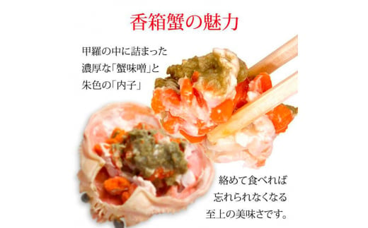 石川県産 香箱蟹 せいこ 小サイズ 10匹 詰合せ 12月16日～12月26日発送 浜茹で 産地直送 ズワイガニ ずわいがに ずわい蟹の雌 先行予約 予約 せいこ 蟹 かに グルメ F6P-2769