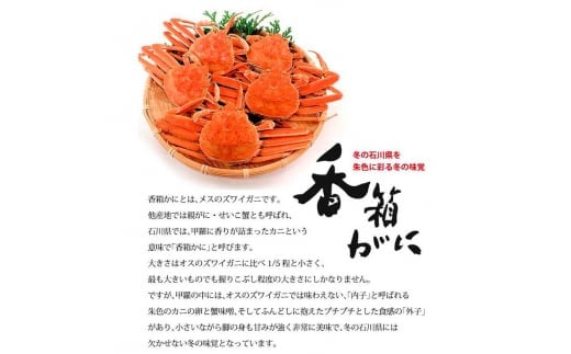 石川県産 香箱蟹 せいこ 小サイズ 10匹 詰合せ 12月16日～12月26日発送 浜茹で 産地直送 ズワイガニ ずわいがに ずわい蟹の雌 先行予約 予約 せいこ 蟹 かに グルメ F6P-2769