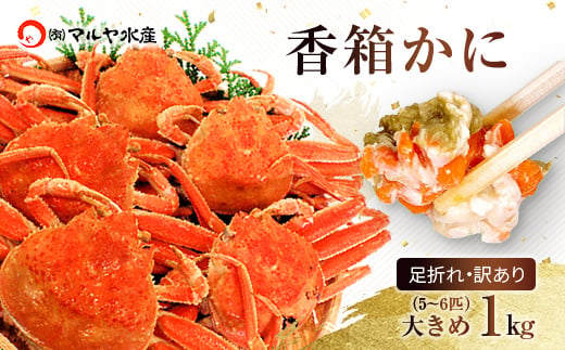 【石川県加賀市】石川県産 香箱蟹 せいこ 訳あり 大きめ 1kg 5〜6匹 詰合せ 11月10日〜12月15日発送 浜茹で 産地直送 F6P-2774