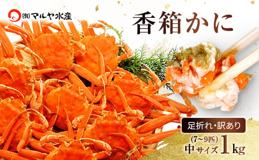 yΐ쌧szΐ쌧Y I  󂠂 TCY 1kg 7`9C l 1216`1226 l䥂 Yn F6P-2777