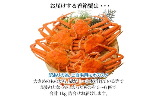 石川県産 香箱蟹 せいこ 訳あり 中サイズ 1kg 7～9匹 詰合せ 12月16日～12月26日発送 浜茹で 産地直送 F6P-2777