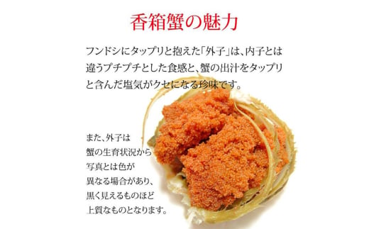 石川県産 香箱蟹 せいこ 訳あり 中サイズ 1kg 7～9匹 詰合せ 12月16日～12月26日発送 浜茹で 産地直送 F6P-2777