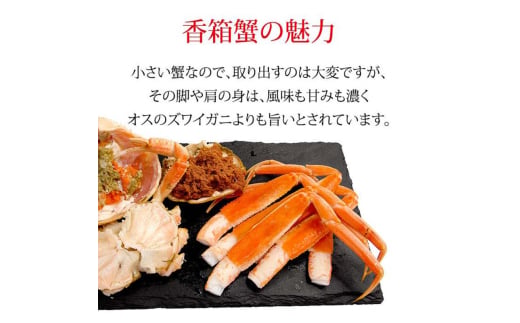 石川県産 香箱蟹 せいこ 訳あり 中サイズ 1kg 7～9匹 詰合せ 12月16日～12月26日発送 浜茹で 産地直送 F6P-2777