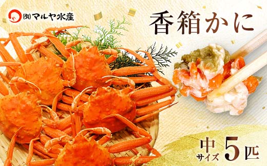 【石川県加賀市】石川県産 香箱蟹 せいこ 中サイズ 5匹 詰合せ 11月10日〜12月15日発送 F6P-2770