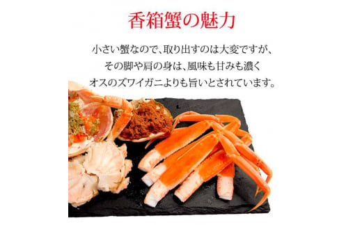 石川県産 香箱蟹 せいこ 中サイズ 5匹 詰合せ 12月16日～12月26日発送 F6P-2771