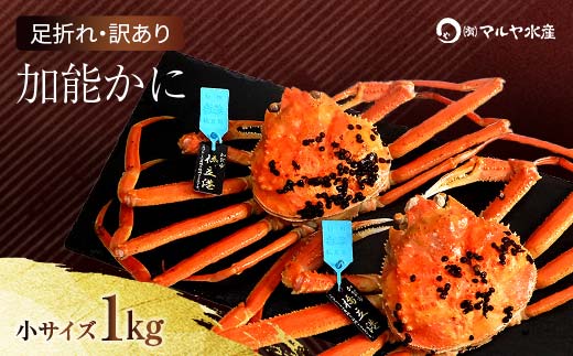 【石川県加賀市】石川県産 加能かに ズワイガニ ( 産地証明タグ付 ) 訳あり 足折れ 小サイズ 2〜3匹 合計1.0kg 12月16日〜12月26日発送 産地証明 訳あり 家庭用 自宅用 足折れ 先行予約 予約 ブランド蟹 ボイル 茹で 蟹 復興 震災 コロナ 能登半島地震復興支援 北陸新幹線 F6P