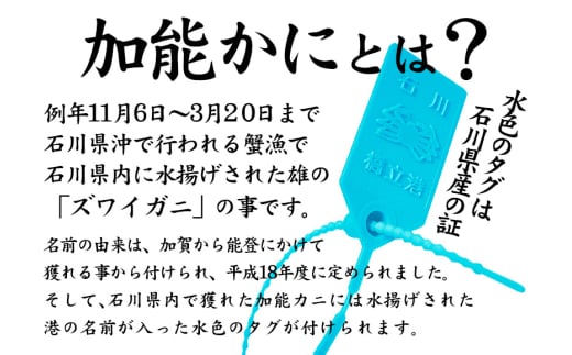 石川県産 加能かに ズワイガニ ( 産地証明タグ付 ) 訳あり 足折れ 小サイズ 2～3匹 合計1.0kg 12月16日～12月26日発送 産地証明 訳あり 家庭用 自宅用 足折れ 先行予約 予約 ブランド蟹 ボイル 茹で 蟹 復興 震災 コロナ 能登半島地震復興支援 北陸新幹線 F6P-2779