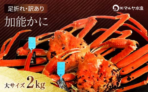 yΐ쌧szΐ쌧Y \ YCKj ( Ynؖ^Ot ) 󂠂 ܂ TCY 2`3C v2.0kg 1216`1226 Ynؖ 󂠂 ƒp p ܂ s\ \ uhI {C 䥂 I  k Ri \onkx kV F6P