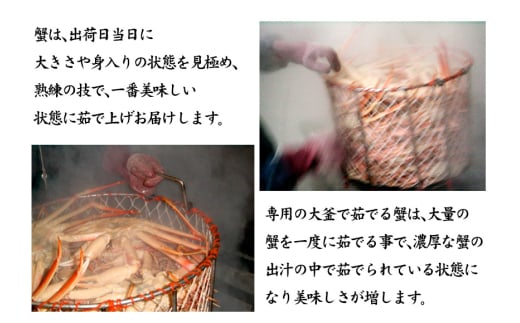 石川県産 加能かに ズワイガニ ( 産地証明タグ付 ) 訳あり 足折れ 大サイズ 2～3匹 合計2.0kg 1月20日～ 3月31日発送 産地証明 訳あり 家庭用 自宅用 足折れ 先行予約 予約 ブランド蟹 ボイル 茹で 蟹 復興 震災 コロナ 能登半島地震復興支援 北陸新幹線 F6P-2786