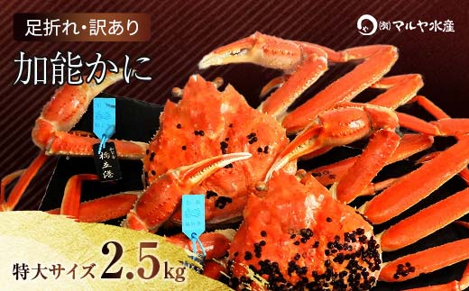 石川県産 加能かに ズワイガニ ( 産地証明タグ付 ) 訳あり 足折れ 特大サイズ 2～3匹 合計2.5kg 1月20日～ 3月31日発送 産地証明 訳あり 家庭用 自宅用 足折れ 先行予約 予約 ブランド蟹 ボイル 茹で 蟹 復興 震災 コロナ 能登半島地震復興支援 北陸新幹線 F6P-2789